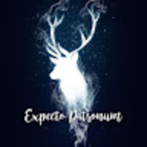 Meet your Posher, Charlotte